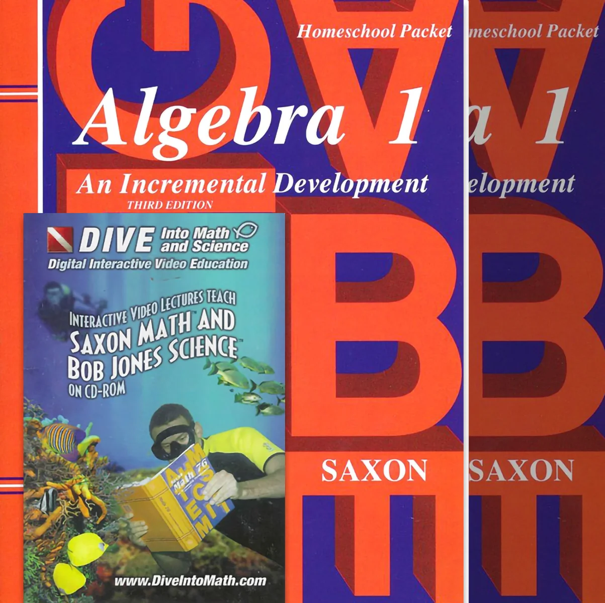 Saxon Algebra 1